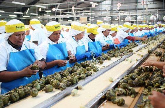 Agroexportaciones crecen 5% en primer trimestre, pese a Niño