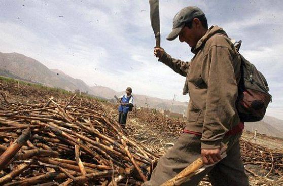 Azucarera Andahuasi pasará a manos de los Wong esta semana