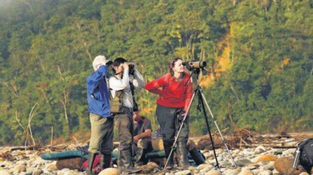 Prom-Perú: 'Birdwatching' puede atraer a tres millones de turistas