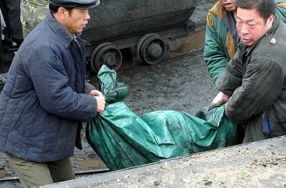 China: encuentran 1.000 cadáveres de patos flotando en un río