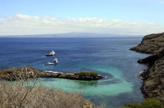 Primer aeropuerto ecológico del mundo funciona a toda capacidad en Galápagos