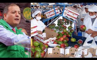 Perú exporta US$5.000 millones en productos agrícolas por los TLC