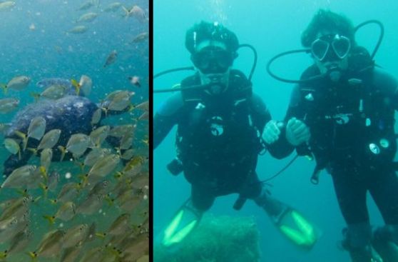Tres lugares imperdibles en el norte del Perú para los amantes del buceo