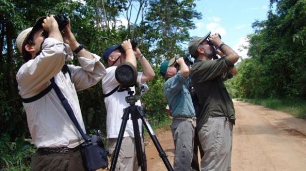 Ruta Nor Amazónica será escenario de rally mundial de avistamiento de aves