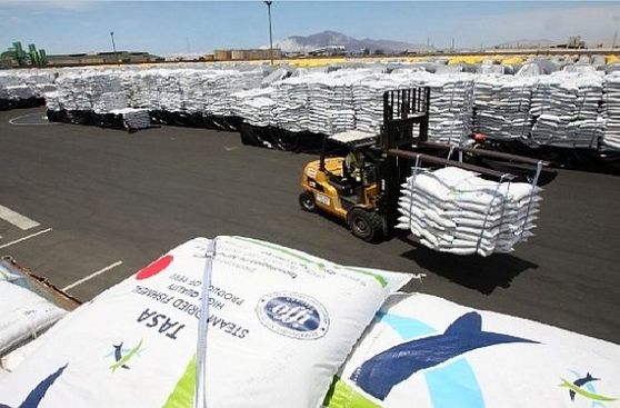 Facturación de pesquera Tasa caerá 18% en 2013 por menor captura de anchoveta