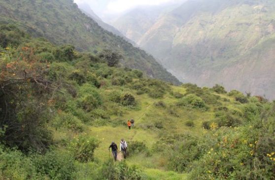 Bosque de Zárate: la montaña verde que nos desafía
