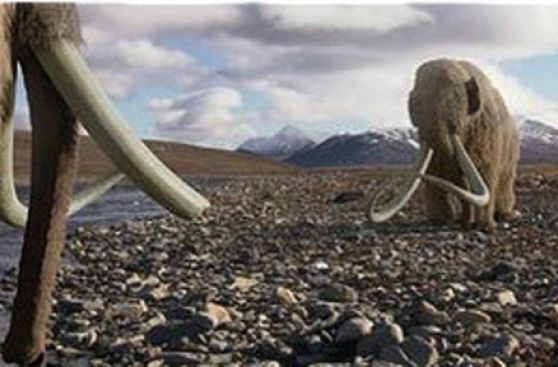 ¿El hallazgo de sangre líquida de mamut hará posible su clonación?