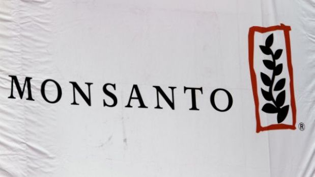Monsanto renuncia a su lucha por la industria transgénica en Europa 