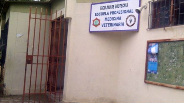 Perros muertos fueron encontrados en universidad en Piura