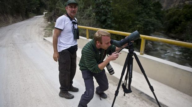 FOTOS: "Birding Rally Challenge", la competencia de avistamiento de aves que solo puede hacerse en el Perú