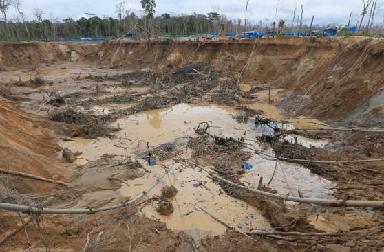 La selva cusqueña es devorada por cinco mil mineros ilegales