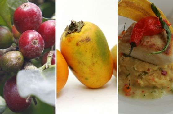 Cinco alimentos de la selva que tendrías que incluir en tu cocina