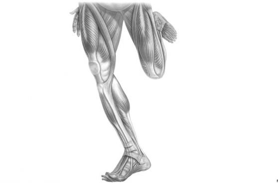 FOTOS: anatomía del artista médico, una figura indispensable de la ciencia