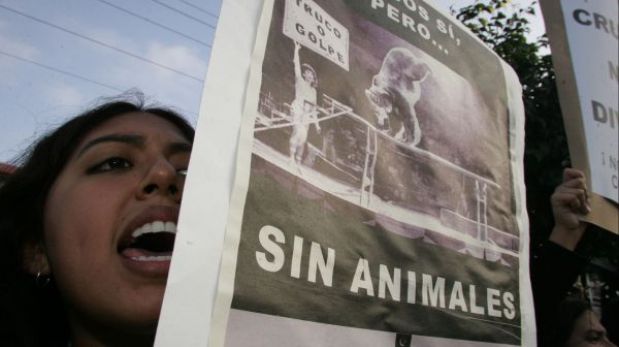 Ministerio de Agricultura prohíbe el ingreso de fauna silvestre para circos en el Perú