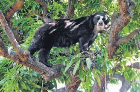 Chaparrí, el bosque amigo de los pequeños