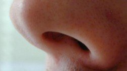 ¿Cuáles son los 10 olores básicos que reconoce el olfato?