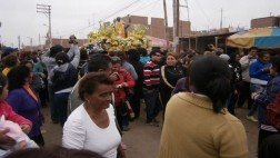 Cañete: juez prohibió festival del Curruñao por crueldad contra gatos