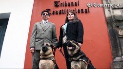 Invidentes con perros guías denunciaron a Plaza Vea ante el TC