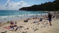 Australia: turistas tienen un 'código de conducta' para usar sus smartphones