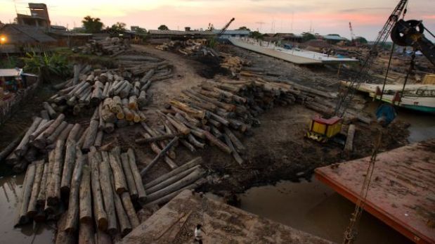 “The New York Times” alerta sobre la corrupción en Perú en la lucha contra la tala ilegal
