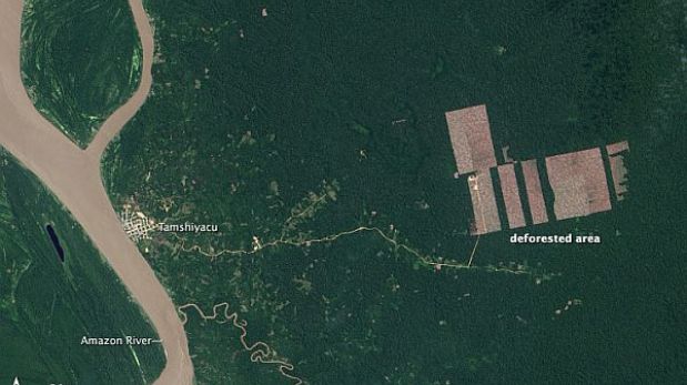 La NASA detecta la deforestación de mil hectáreas en Loreto [FOTOS]