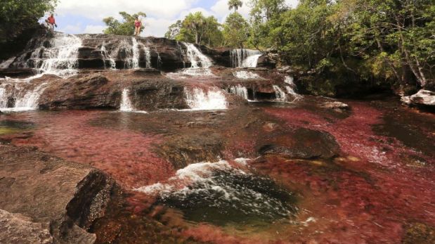 Colombia: Caño Cristales, el río de los cinco colores [FOTOS]