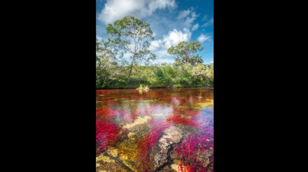 Colombia: Caño Cristales, el río de los cinco colores [FOTOS]