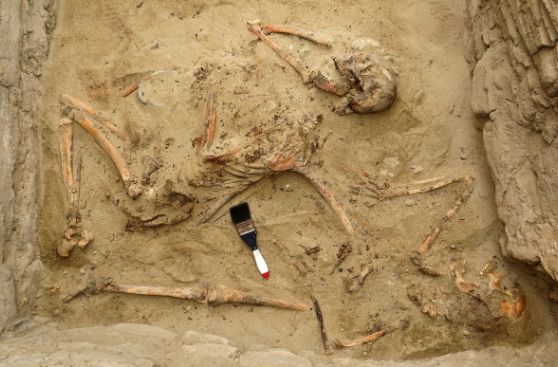 Descubren tumba con los misterios del Chimú tardío