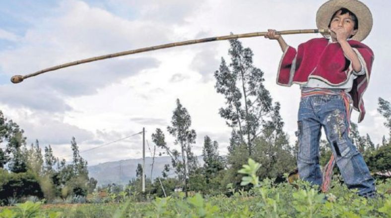 La Batalla De Los Ultimos Clarineros Cajamarquinos El Comercio Peru