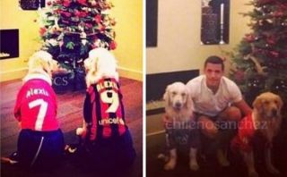 Alexis Sánchez vistió a sus perros con sus camisetas para Navidad