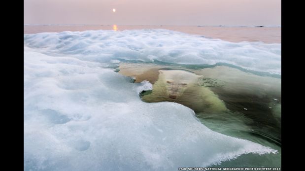 Las mejores imágenes del concurso de National Geographic [FOTOS]
