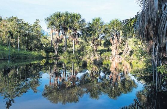 Tarapoto: paisajes imperdibles de la selva y cuatro miradas de la ciudad