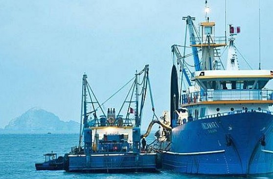 Dueños de Copeinca caerían en impago por falta de efectivo