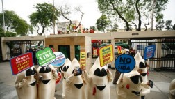 Día del Condón: El jueves reparten preservativos en Aguadulce