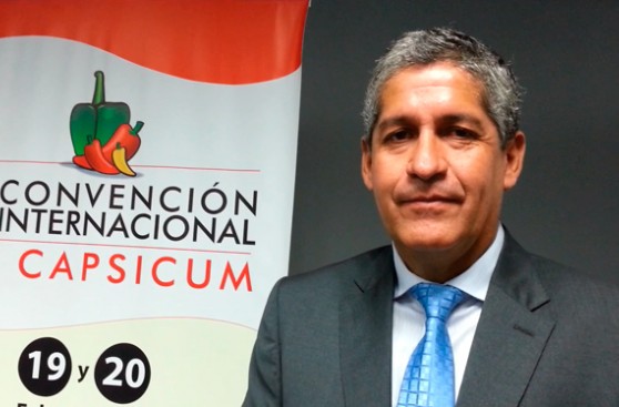 Exportaciones de ajíes y pimientos cerrarán en US$239 mlls.
