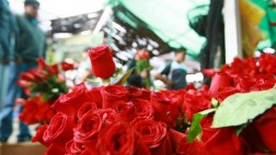 Pachacámac listo para Festival de las Flores por San Valentín