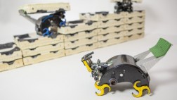 Las termitas inspiran a los robots del futuro