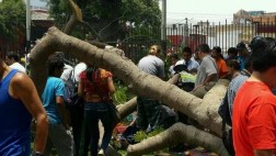 Parque Reducto: herido será operado por fractura en cadera