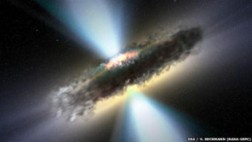 ¿Cuán inteligentes son los elefantes?