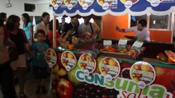 Surco fiscalizará venta de comida chatarra en kioscos escolares
