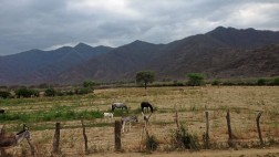 Senamhi descarta estado de emergencia por déficit de lluvias