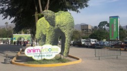 Sujetos armados roban S/.50 mil de Parque Zonal Sinchi Roca