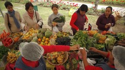 Apoyo: la inflación bajará a menos de 3% en segundo semestre