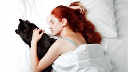 A contar ovejas: ¿Duermes con tu mascota?