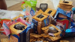 Camuflan celulares en galletas para meterlos a penal