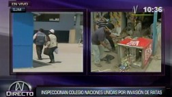 Colegio Naciones Unidas de SJM tiene 27 madrigueras de ratas
