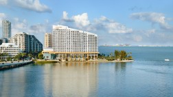 En estos hoteles tus mascotas son tratadas como reyes