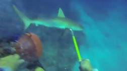 Sobrevivir a un ataque de tiburón lo volvió estrella de YouTube
