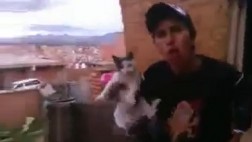 Critican video de joven que lanza a un gato desde su patio