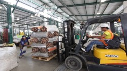 A Santa Anita ahora ingresan 6.381 tn. de alimentos al día